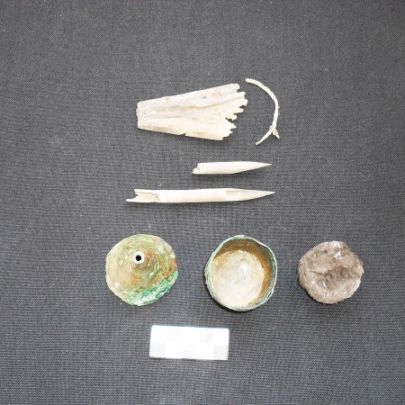 The working tools of a scriber whose tomb was discovered at the ancient Egyptian city of Oxyrhynchus (Photo Credit: University of Barcelona)