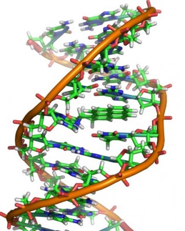 An 'Alien' DNA has been discovered in a massive scientific breakthrough that could possibly prove that life in outer space exists. (Representational Picture: Wikimedia Commons)