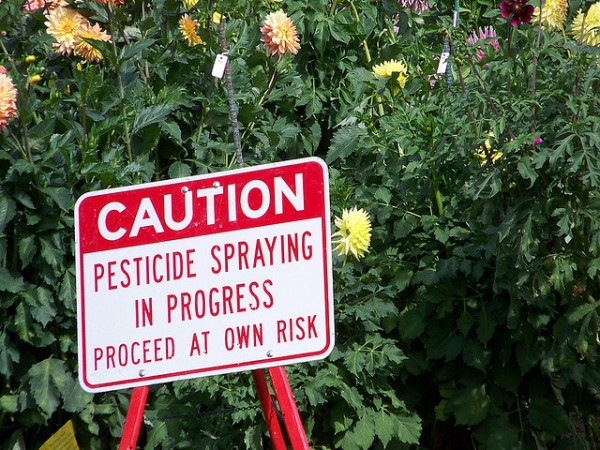 Pesticides