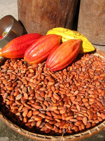 cocoa