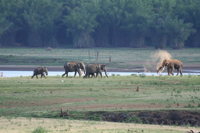 Kabini Forest Reserve Kabini Forest Reserve