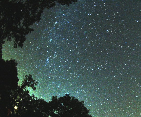 Perseids Meteor Shower