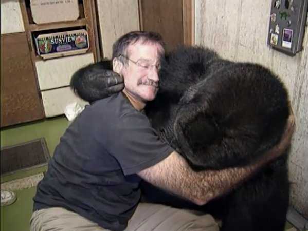 Robin Williams hugs Koko, the Gorilla Robin Williams and Koko