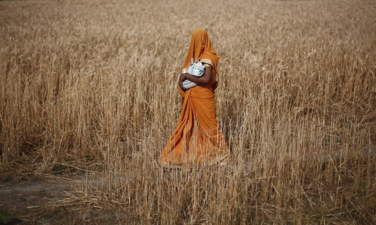 Indian Villager