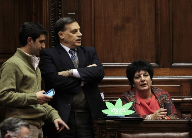 Uruguayan legislators of the ruling Frente Amplio party Daniel Caggiani (L), Carlos Varela (C) and Ivonne Passada participate in a debate before voting on a bill that regulates marijuana growth and sale advances, in Montevideo July 31, 2013. Marijuana Legislature