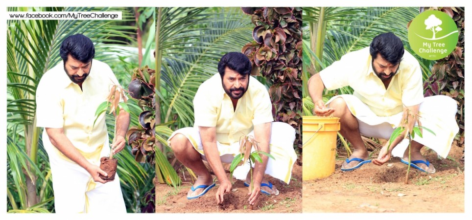 Mammootty Kick starts Mammootty