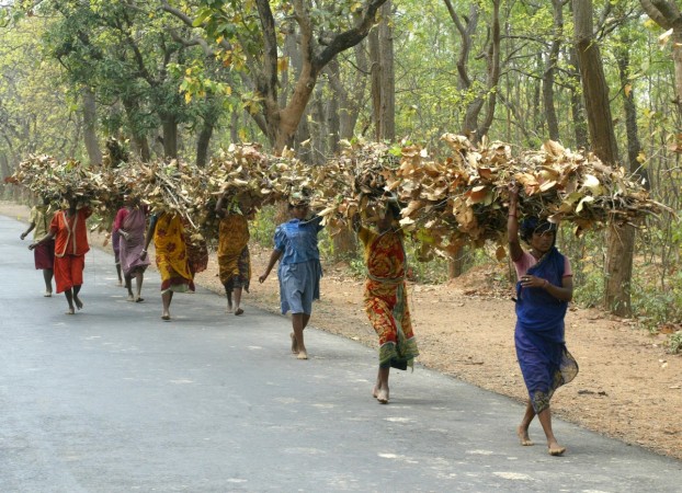 Tribals Forests