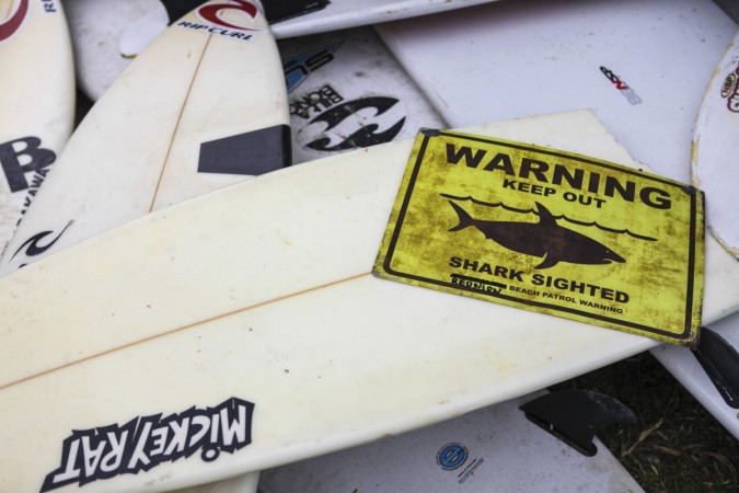 A man was killed in a shark attack off a beach in Byron Bay, considered to be a popular Australian tourist hotspot. A man was killed in a shark attack off a beach in Byron Bay, considered to be a popular Australian tourist hotspot.