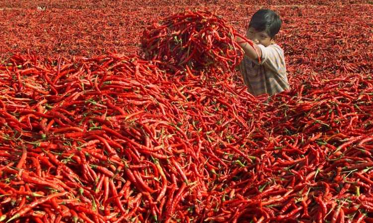 Self-styled godman takes Bath in 30kg chilli powder (Representational Image) Self-styled Godman takes Bath in 30 kilos Chilli Powder