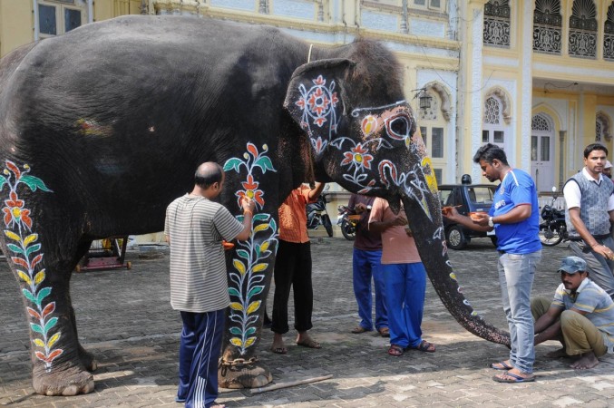 An elephant is decorated during the Mysore Dasara celebrations Mysore Dasara festivities