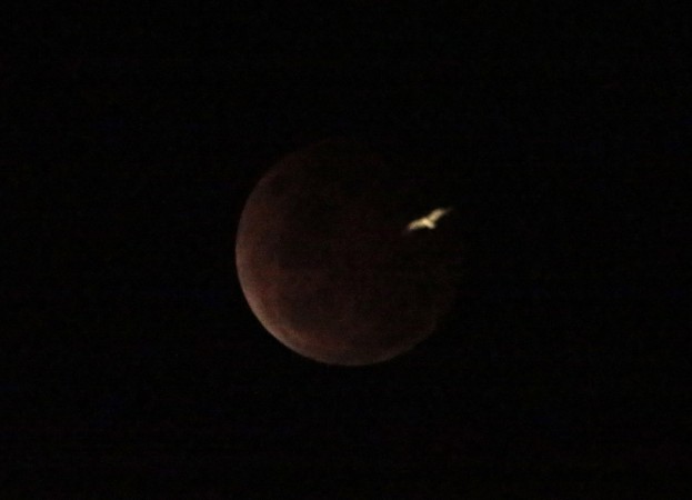 Blood Moon