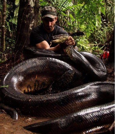 Discovery Channel 's Eaten Alive will see Paul Rosolie getting eaten by an Anaconda Discovery Channel 's Eaten Alive will see Paul Rosolie getting eaten by an Anaconda