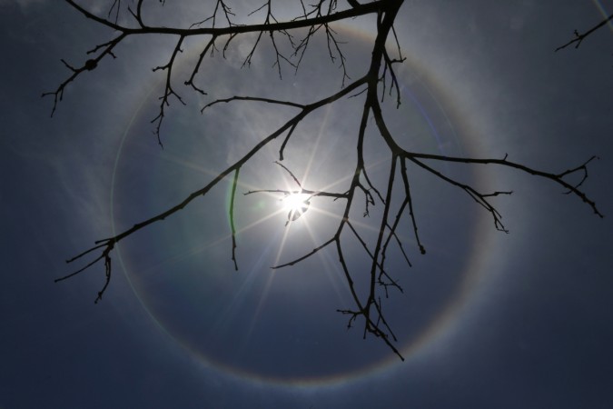 Florida Woman "Dead" for 45 Minutes Shares Afterlife Experience