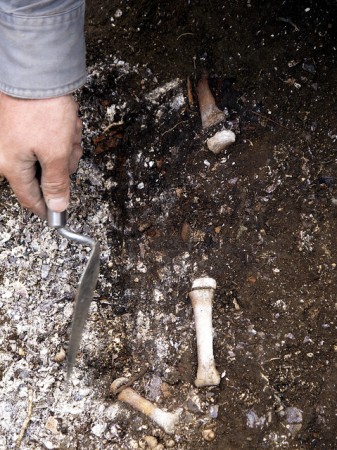 Remains of Ice Age Babies Found in Alaska
