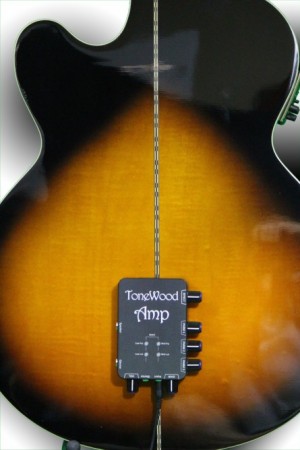 ToneWoodAmp for Accoustic Guitars ToneWoodAmp for Accoustic Guitars