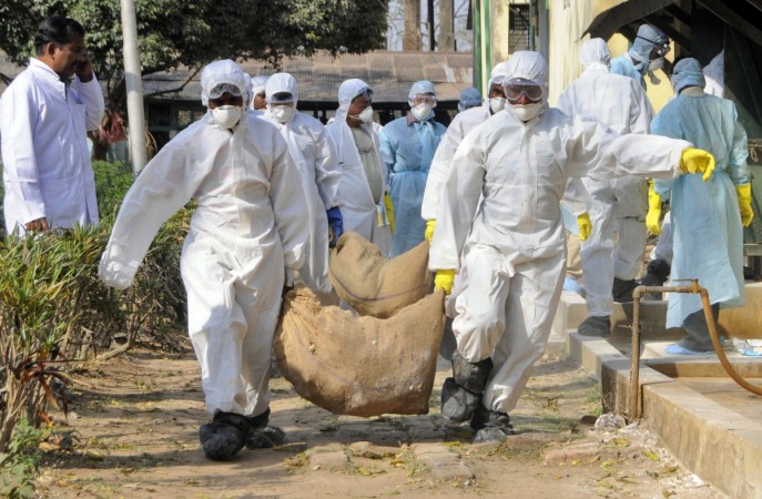 Bird flu