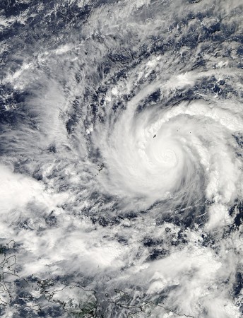 Typhoon