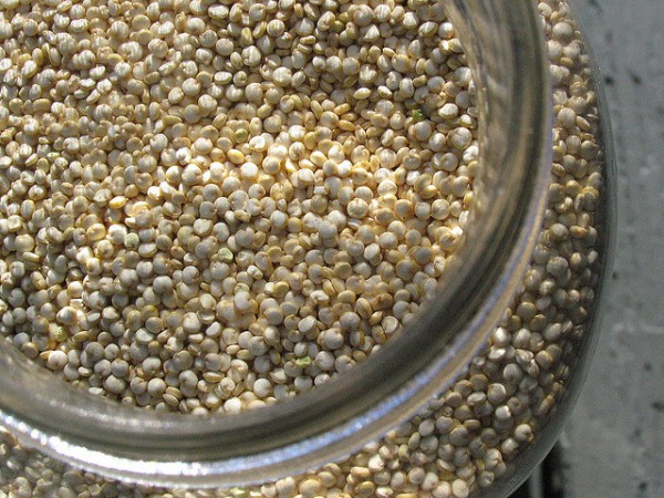 quinoa quinoa