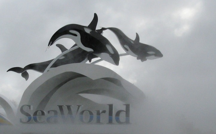 SeaWorld
