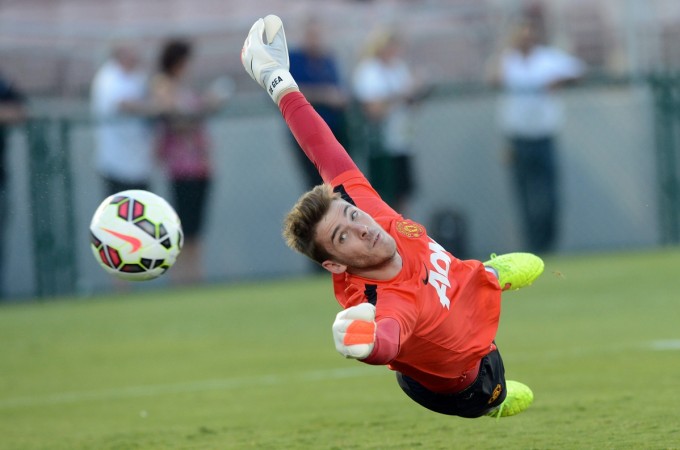 De Gea has been in top form at Manchester United this season David De Gea