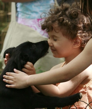 pet, dog and kid