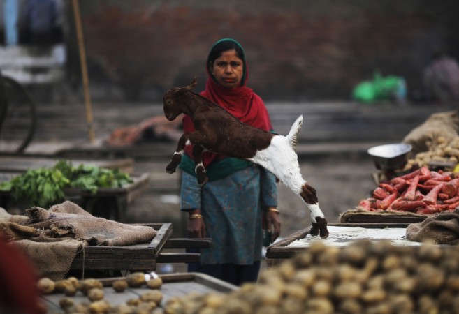 Indian Economy