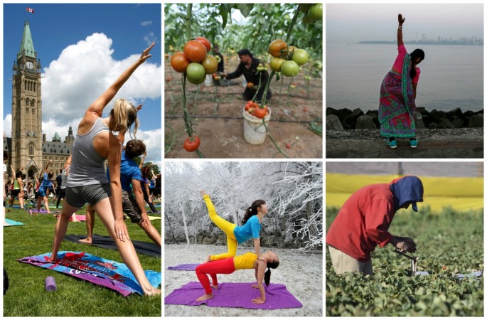 World Health Day 2015 World Health Day 2015