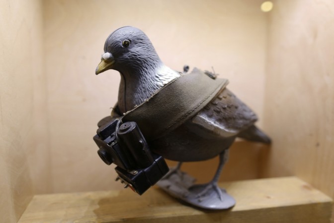 A pigeon mock-up is seen with a small camera at the 'Top Secret' Spy Museum in Oberhausen, Germany.