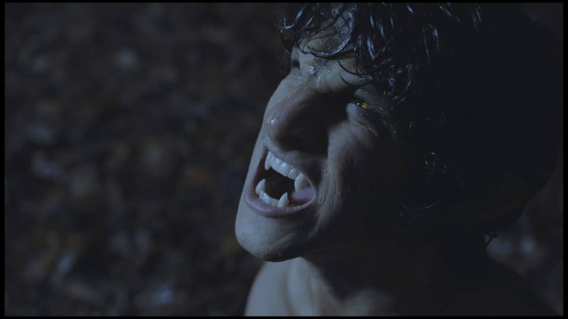 Teen Wolf