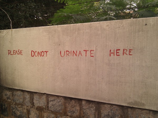 urinating in public punishable