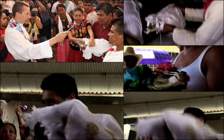 A Mayor in a Mexican fishing town has married a crocodile in a traditional ceremony for a second time.