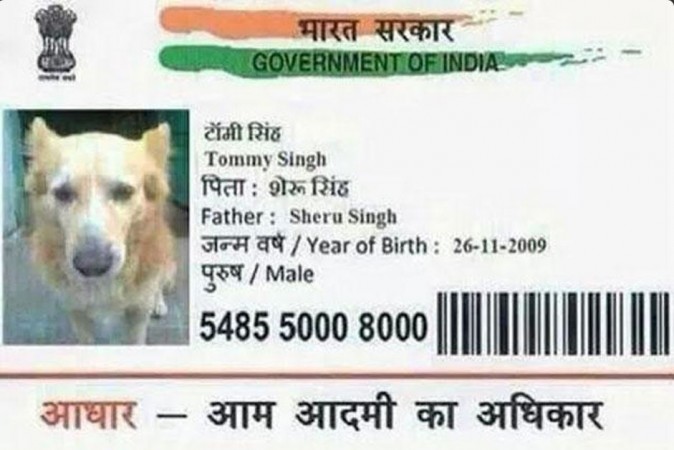 aadhar card for dog