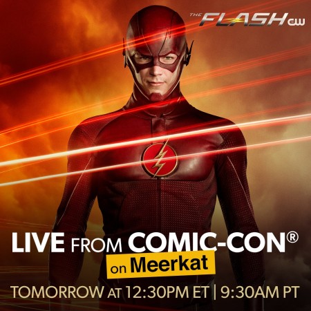 The Flash panel at the comic con
