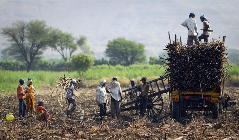 maharashtra farmer