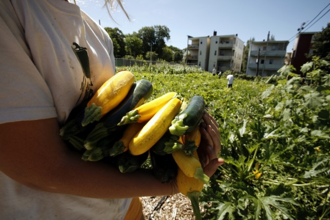 Squash aids breast health