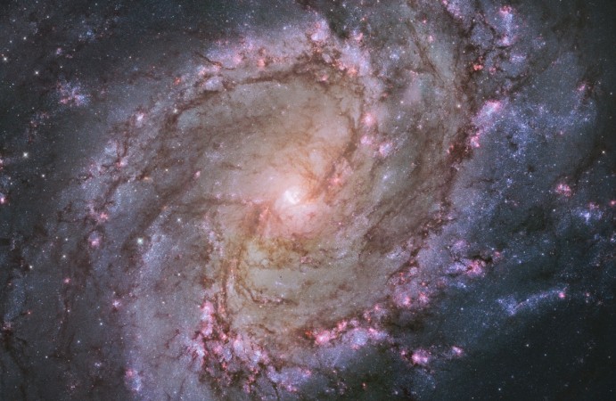 The barred spiral galaxy M83, also known as the Southern Pinwheel, is seen in a NASA Hubble Space Telescope mosaic. Hubble Space Telescope