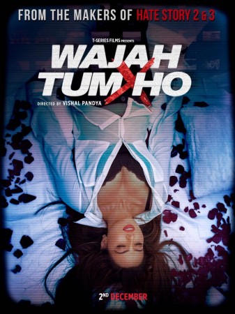 Wajah Tum Ho poster