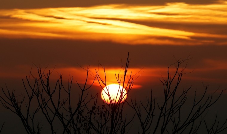 The sun rises behind a tree above the Paris region in France