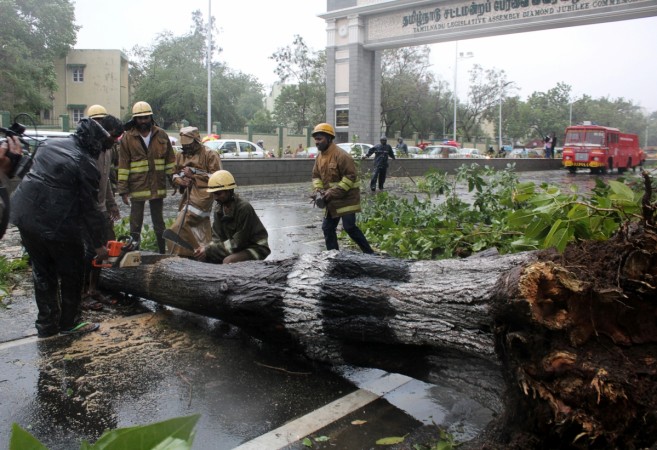 Rescue members cut a tree that fell on a road after it was uprooted by strong winds in Chennai, on December 12 2016. Chennai cyclone Vardah rains