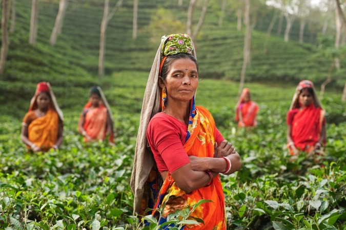 International Tea Day