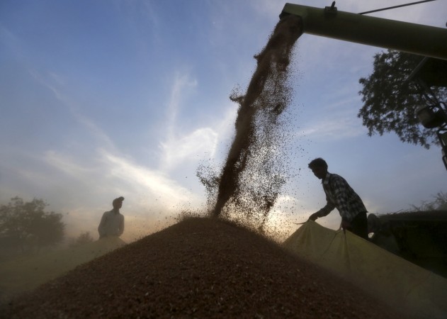 A farmer standing on a plastic drum winnows wheat in a field on the outskirts of Ahmedabad. The growth in the gross value added (GVA) by agriculture, forestry and fishing slowed to 2.7 per cent in Q3 from 4.2 per cent in Q2. India farmer, wheat in a field