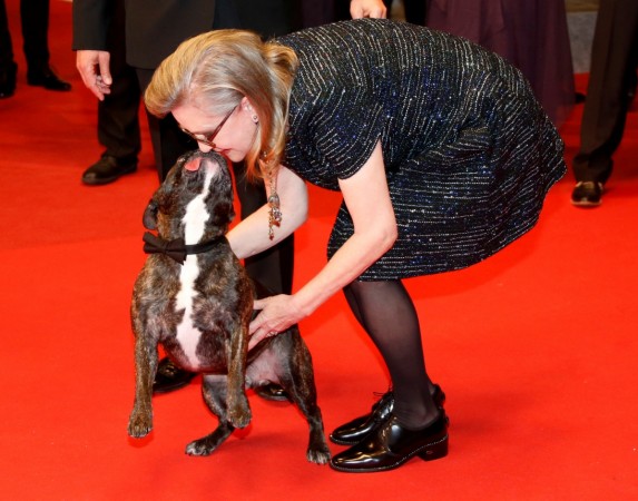 Gary, Carrie Fisher's dog Carrie Fisher's dog