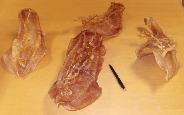 The illegal catching of the totabas fishes is leading to the vaquita's extinction. In Picture: Swim bladders of totoaba macdonaldi fish are pictured in the US Attorney's office in San Diego, California April 24, 2013. Border officers in California are seizing a large number of smuggled bladders from the endangered fish that are prized for use in Chinese soups, and federal prosecutors said they have charged seven people since February in connection with the trade. Totoaba fish