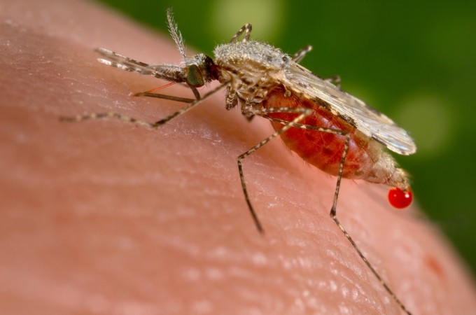 Next generation malaria vaccine trial passes first hurdle with strong results