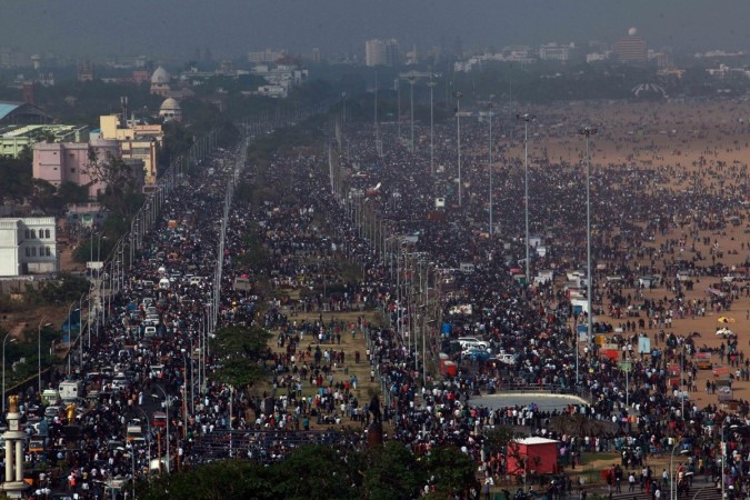 Jallikattu