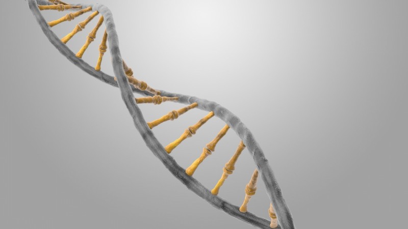DNA, RNA, Genetic code, Base pairs, genome, cells