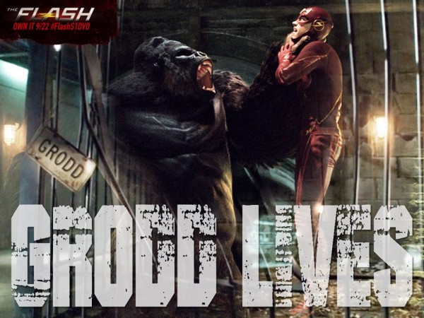 the flash