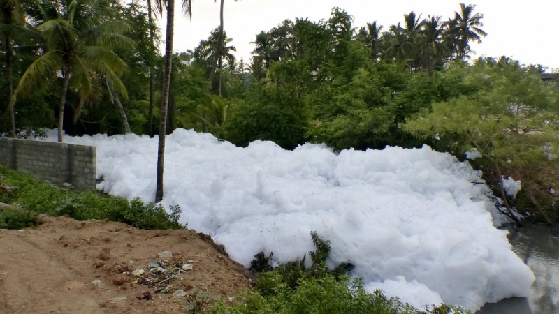 bellandur lake, lakes in bangalore