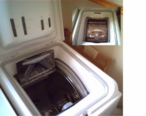 washing machine, twins in washing machine, rohini delhi twins
