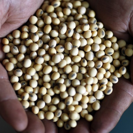Soy consumption is found to reduce the risk of breast cancer death, a research revealed. soy, breast cancer, death, health, women,